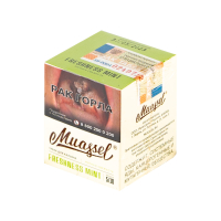 Табак Muassel Freshness Mint (Мятная свежесть) (40 гр)